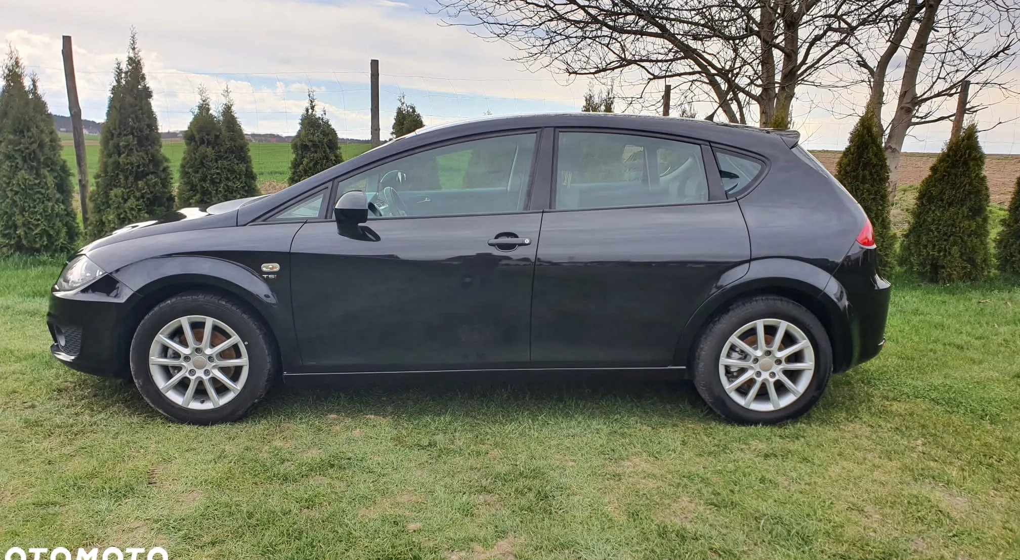Seat Leon cena 18500 przebieg: 238425, rok produkcji 2010 z Przemków małe 106